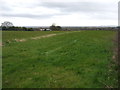 Farmland off Dicconson Lane