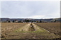 Farmland drainage