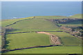 SY9278 : Farmland below Swyre Head by N Chadwick