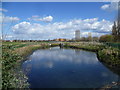 The River Moselle in Lordship Recreation Ground looking towards Broadwater Farm estate