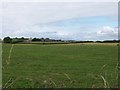 View across farmland towards a range of farm buildings