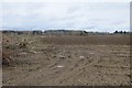 Ploughed field, Strathmore