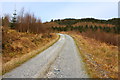 NX5072 : Forestry Road by Billy McCrorie