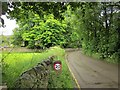 Marys Lane, Edale