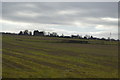 Farmland near Walcot