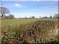 Farmland off Blossoms Lane