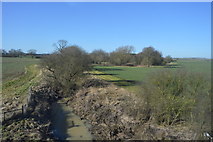 SK8611 : Muddy stream near Langham by N Chadwick