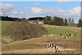 View towards Easterton