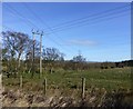 Electricity poles and pylons