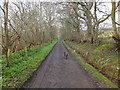 Heading west on the track from Tulloch Castle