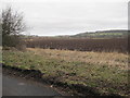 Ploughed Farmland