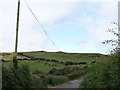 View west towards the Cross Shanenahannan Cairn from the Ballyculter Road