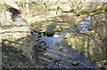 Weir at Witton Shields