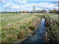 The River Moselle looking towards the Broadwater Farm estate