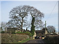 Approaching Cobble Hall on Elmete Lane