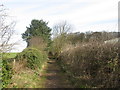 Colliers Lane nearing Pits Wood, Shadwell