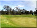 SJ8981 : Avro Golf Course, 3rd/12th (Manchester) Green by David Dixon