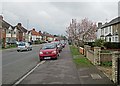 A magnolia on Coleridge Road