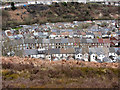 Terraced houses in Ferndale