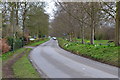 Dorking Road, towards Polesden Lacey