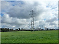 Pylon in field