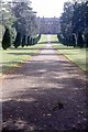 ST4917 : The Avenue to Montacute House by Chris Andrews