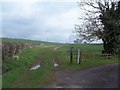 Footpath Junction at Grafton Smallholding