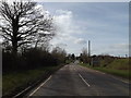TG2002 : Entering Swardeston on the B1113 Main Road by Geographer