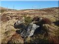 NS3678 : Limestone outcrops by Lairich Rig