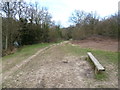 Centenary Walk alongside Highams Park lake