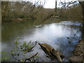 Highams Park lake