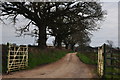 East Devon : Hitts Barton Equestrian Centre