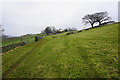 Footpath to Stanbury