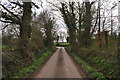 East Devon : Country Lane