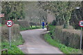 East Devon : Country Lane