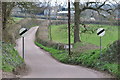 East Devon : Country Lane