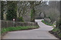 East Devon : Country Lane