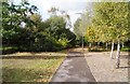 Path towards Ibworth Lane