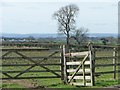 Farmland south of Haggitt Hill Grange Farm