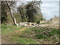 Fly-tipping at Brooks Green