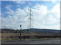 Pylon in field beside Beith Road