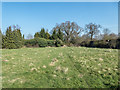 Field, Trent Park, Cockfosters, Hertfordshire