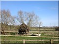 Boat and Granary