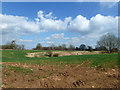 Old quarry in field?