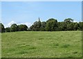 View WNW across farmland in the direction of Churchtown