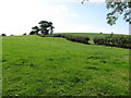 Drumlin farmland on the southwest side of Drumroe Road