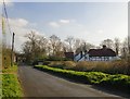 Ripley Lane, approaching West Horsley from the north