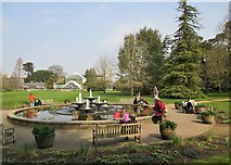 TL4557 : Easter holidays in the Cambridge Botanic Garden by John Sutton