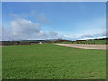 Arable land near Kirkforthar