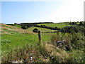 View across fields to the eastern section of Drumroe Road